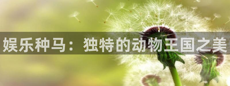 888贵宾会官网