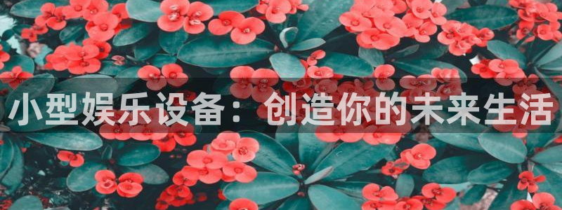 888贵宾会官网