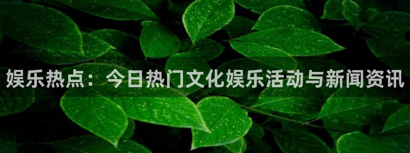 888贵宾会官网