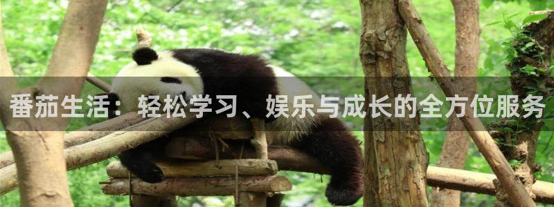 888贵宾会官网