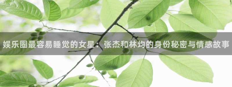 888贵宾会官网