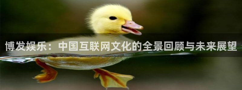 888贵宾会官网