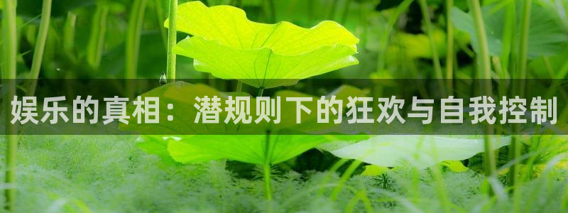 888贵宾会官网